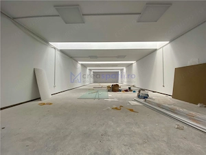 Hale de inchiriat in Tomesti, la str. Plopilor, de la 324mp la 2000mp - imagine 14