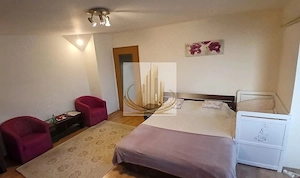  Apartament cu 1 camera Calea Sagului - imagine 3