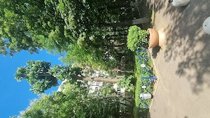 Apartament 3 Camere Etaj 5 9 - OBREGIA   110.000 Euro - imagine 9