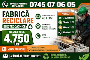 Muncitori necalificati,  Operatori Fabrică si Manipulanți
