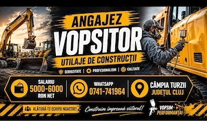 Angajam vopsitor utilaje constructii