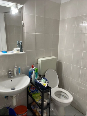 Garsoniera, 22mp, etaj intermediar, lift, Opera Residence - imagine 6