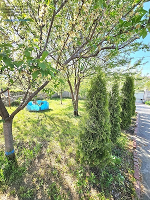 Casa cu livada, piscina si teren de 1600 mp, Piatra Neamt - zona Ciritei - imagine 15
