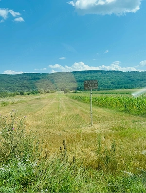 Teren de vanzare 