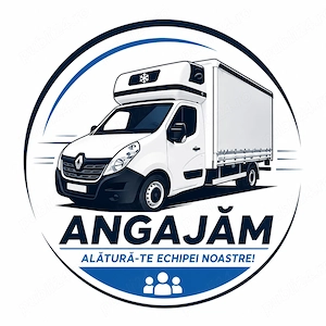 Sofer cat B duba 10 europaleti transport INTERN Romania