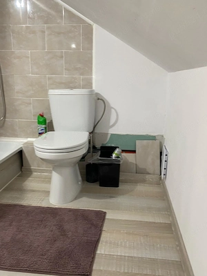 vand casa cu mansarda si afacere Parscov Buzau - imagine 7