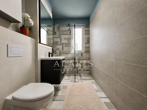 Apartament cu 2 camere, open space,  zona Aradului - imagine 10