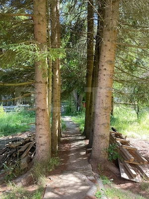 Cabana cu parau si brazi maturi, 1400mp, Valea Fericirii - imagine 2