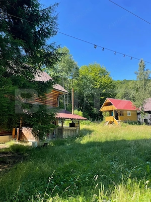 Cabana cu parau si brazi maturi, 1400mp, Valea Fericirii - imagine 4
