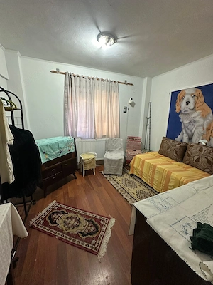 De vanzare apartament cu 2 camere si 2 bai, situat pe Bd. Roman Musat, decomandat Pret 52000euro - imagine 6