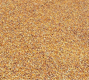 Vand grăunțe