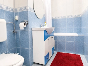 Apartament cu 1 camera, Micalaca - Voinicilor, parter - imagine 7