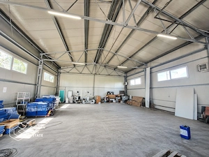 Hala industriala 225 mp cu acces la DN7, Vladimirescu - imagine 2