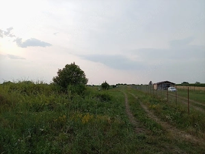 Teren Extravilan 2.900 mp în Jud. Timiș   Deschidere la DRUMUL PRINCIPAL | Curent peste drum - imagine 2