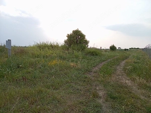 Teren Extravilan 2.900 mp în Jud. Timiș   Deschidere la DRUMUL PRINCIPAL | Curent peste drum - imagine 3