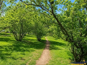 Locul unde fiecare zi se simte ca acasa: Un colt de liniste in Cartierul Florilor cu Promenada verde - imagine 18