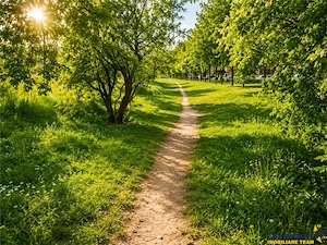 Locul unde fiecare zi se simte ca acasa: Un colt de liniste in Cartierul Florilor cu Promenada verde - imagine 9