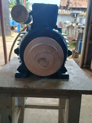 motor electric2,2kw 3000 Romanesc
