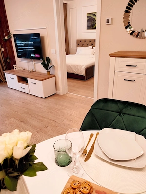 Apartament de închiriat Prima Arena - imagine 2