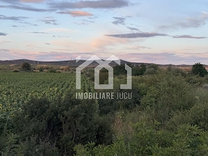 Teren – 7.194 mp | Răscruci – Zona Tetarom - imagine 5