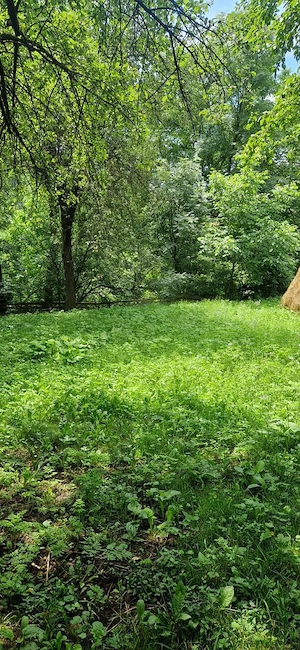 Teren intravilan 1.586 mp   livadă, acces amenajat, Valea Doftanei (Trăisteni)   investiție excelent - imagine 10