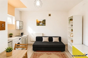 Garsoniera in vila, baie si bucatarie proprie, acces aproape independent, finisaje noi, investitie s - imagine 3