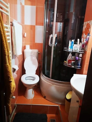 apartament 2 cam  - imagine 5