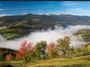 Teren de vânzare Arieșeni 