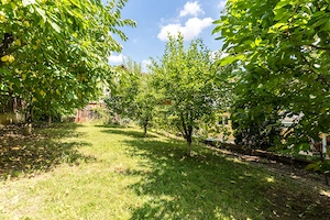 Casă/Vilă cu 5 camere de Vânzare, 870mp Teren, Bucium -3 Sarmale - imagine 18