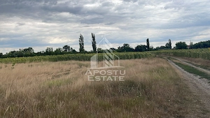 Parcela teren casa, intravilan, 1000 mp, Sanmihaiu Roman - imagine 2