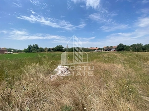 Teren constructii intravilan de vanzare Dragsina Timis 1000 mp - imagine 3
