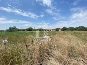 Teren constructii intravilan de vanzare Dragsina Timis 1000 mp - imagine 4