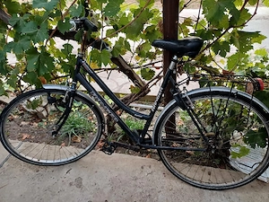 bicicleta low land