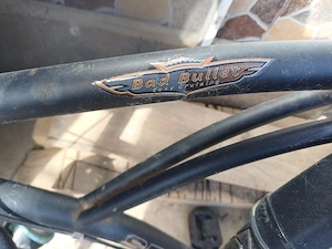 bicicleta 