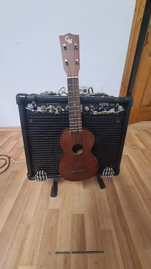 cabinet ,amplificator si ukulele 