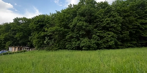 Teren de VIS la marginea padurii (aproape de Cluj) - 1000mp | Utilitati la teren | Direct proprietar - imagine 2