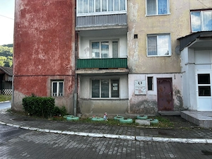 Teren de vanzare Bistra judetul Alba + casa batraneasca din lemn - imagine 18