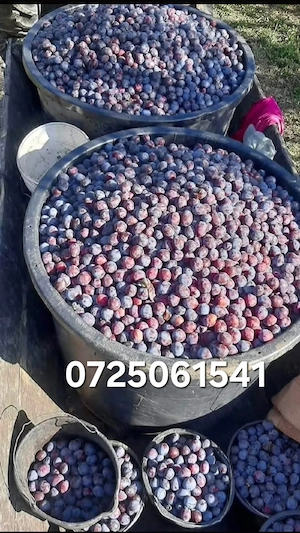 Fructe și legume 