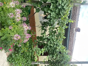  casa de vanzare Lugoj Timis   c