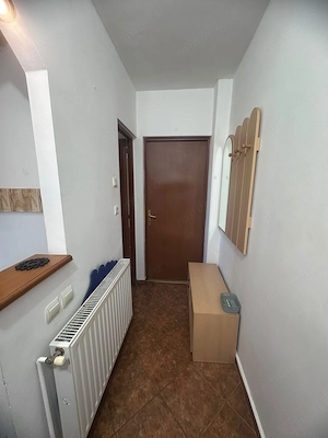 Apartament 2 camere Terezian - imagine 6