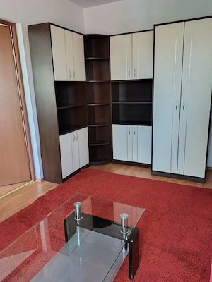 Apartament 2 camere Terezian - imagine 2