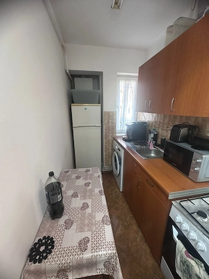 Apartament 2 camere Terezian - imagine 4