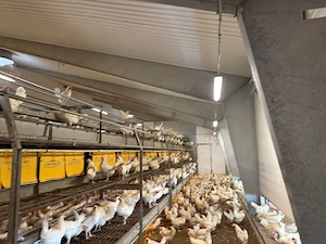 Vino în echipa noastră! Angajăm Îngrijitor Animale