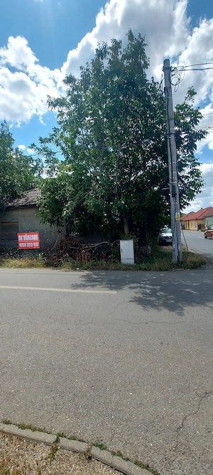 Teren 998 mp intravilan, Dumbrăvița, pe colț  - imagine 6