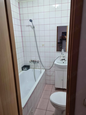 Închiriere imobil cu 1 cameră, Timișoara, Calea Lipovei - imagine 4