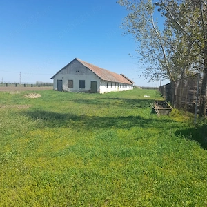 Vand grajd pentru cresterea animalelor