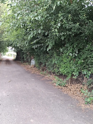 Vând  teren  intravilan în comuna Hotarele județul Giurgiu.Secerisului nr 21  