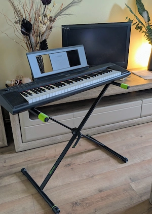 Yamaha Piaggero NP-12B