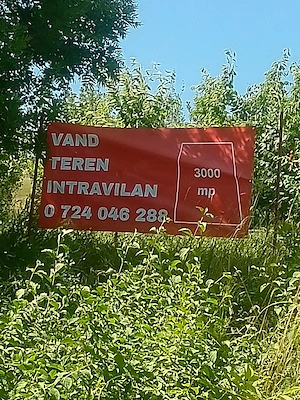 Proprietar vând teren 3000 (2X1500 )mp sopor