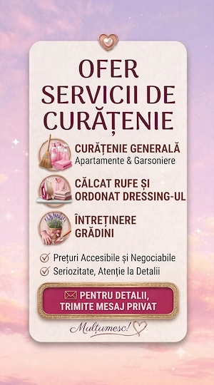 Curatenie la domiciliu 
